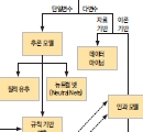 깜깜한 초행길에도 똑똑한 ‘내비’ 따로 있다